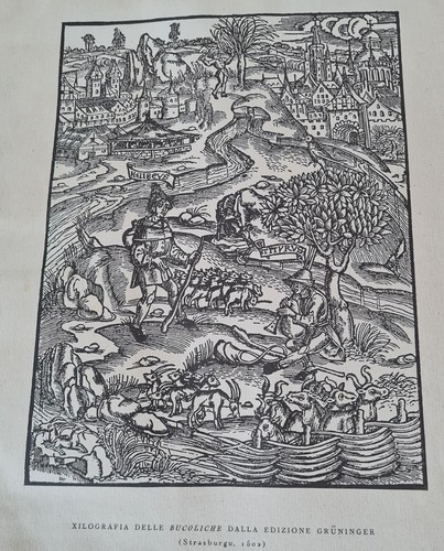 Bucoliche strasburgo 1502 - ,
