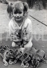 Foto vintage Francia, Bambina con cuccioli di tigre, 1986, stampa 21x15 cm