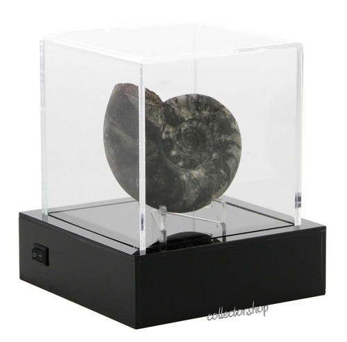 Safe espositore cube grande - safe,