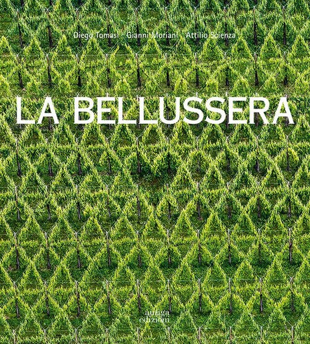 Bellussera storia di - la,