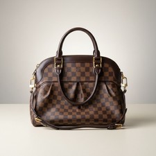 Louis Vuitton Trevi PM Damier