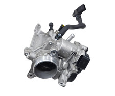 CORPO FARFALLATO PER