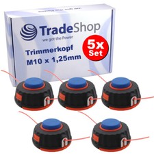 5 testine filo testa