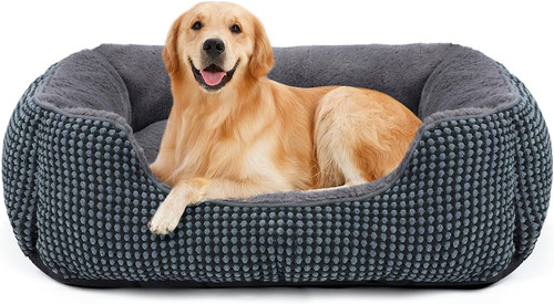 Cuccia cane interno - cuccia,