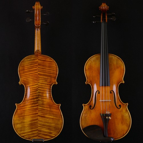 Maestro violino guarneri del - violino,