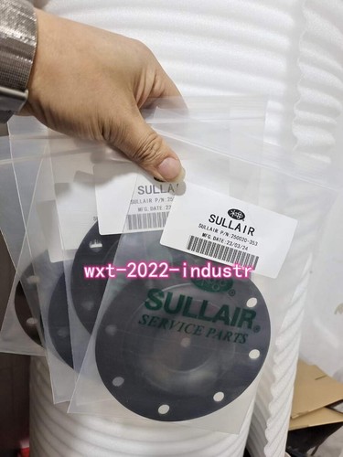 250020 353 kit valvola - 250020-353,