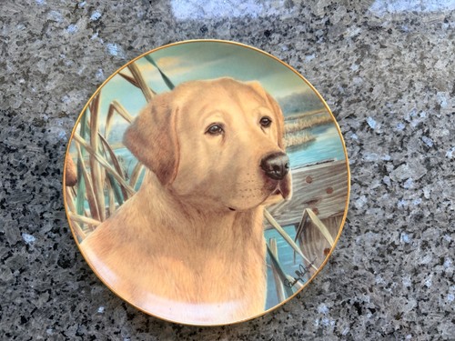 China plate