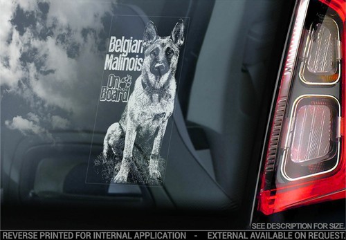 Adesivo auto belga malinois - auto,