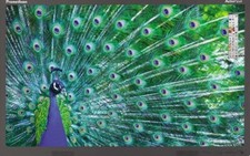 Promethean Activpanel apt2-65 monitor lavagna interattiva touch screen