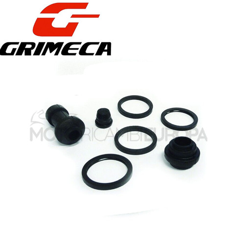 Kit revisione pinza - revisione,