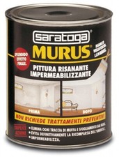 Saratoga murus pittura - saratoga,