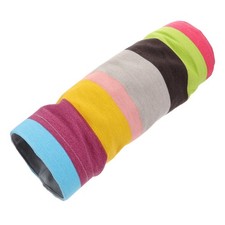  Porcellino D'india Giocattolo