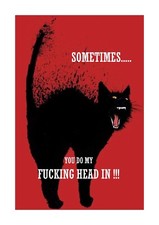 Sometimes You do my fucking