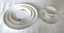 ROSENTHAL MEDLEY PATTERN 5
