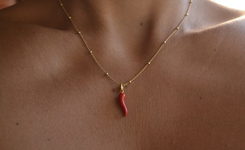 Collana ciondolo corno - collana,