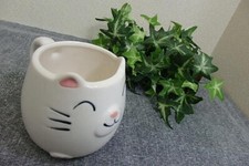 Mino Oggetto Giapponese