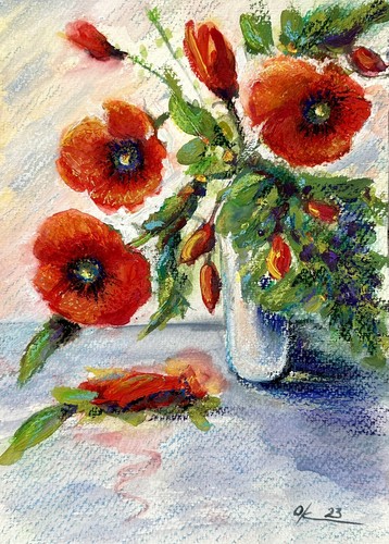 Papavero papaveri rossi
