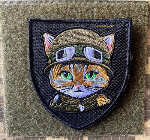 Caccia gatto dell esercito - gatto, dell'esercito