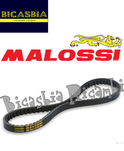 10079 cinghia variatore - 10079,