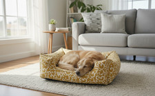 CUCCIA PER CANI INTERNO