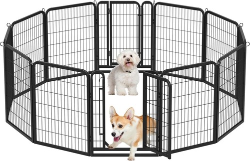 Box per cani - per, 12