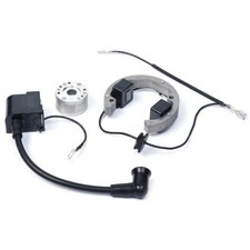 Bobina Statore Rotore Volano Completa Per Minicross Replica Ktm Ncx Kayo Vmc Mxt