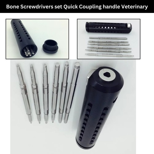 Cacciaviti osso torx star - osso,