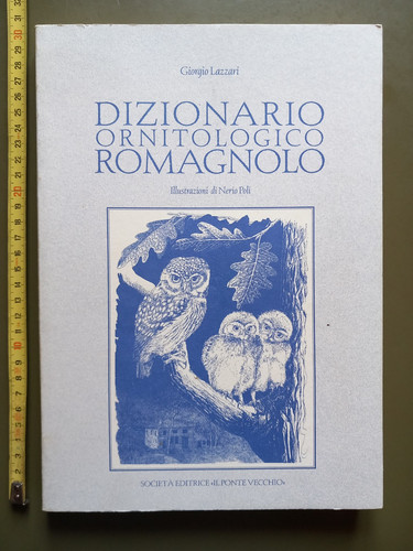 Giorgio lazzari dizionario - giorgio,
