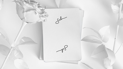 Daniel schneider white edition - schneider,