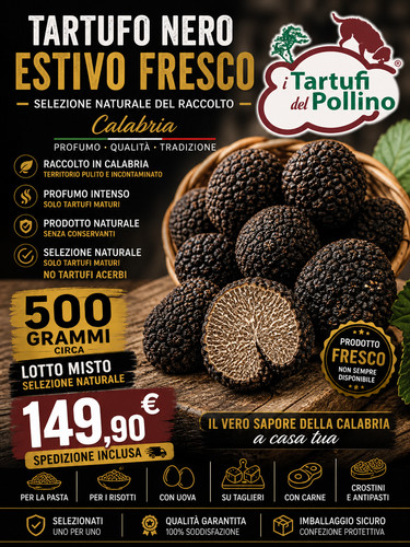 Tartufo nero estivo - nero,