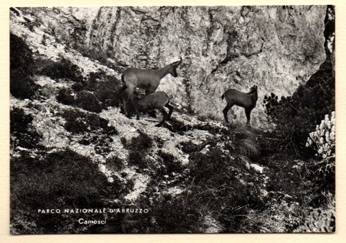 Parco nazionale abruzzo - nazionale, d'abruzzo