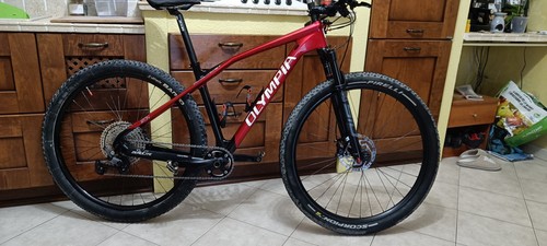 Mountain bike uomo - mountain,