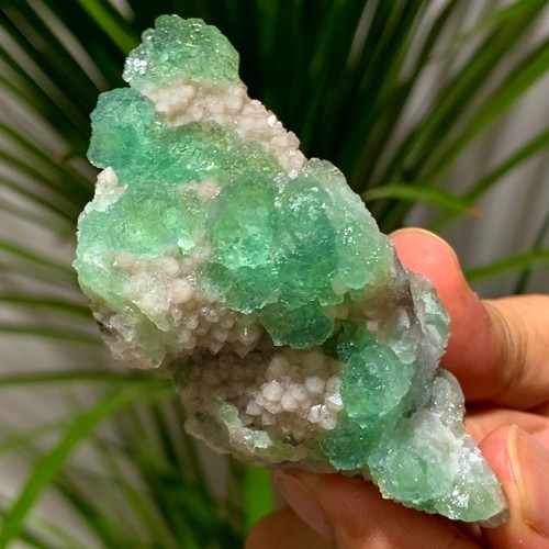 184g rare transparent green - rare,