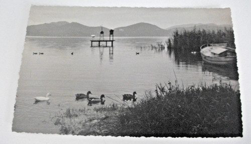 Fotografica torre del lago - del,