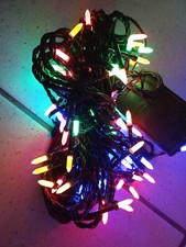 Ghirlanda Luci Natalizie 80 lampadine led - interno/esterno 