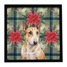 Miniature Bull Terrier