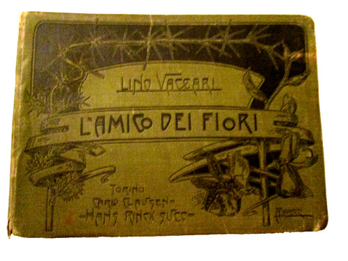 Amico dei - (botanica)l’amico,
