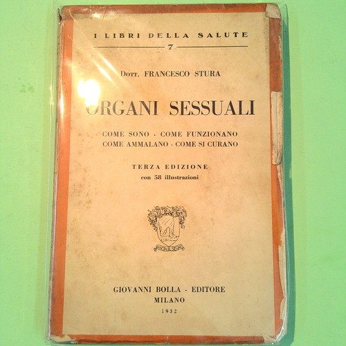 Organi sessuali stura - organi, bolla