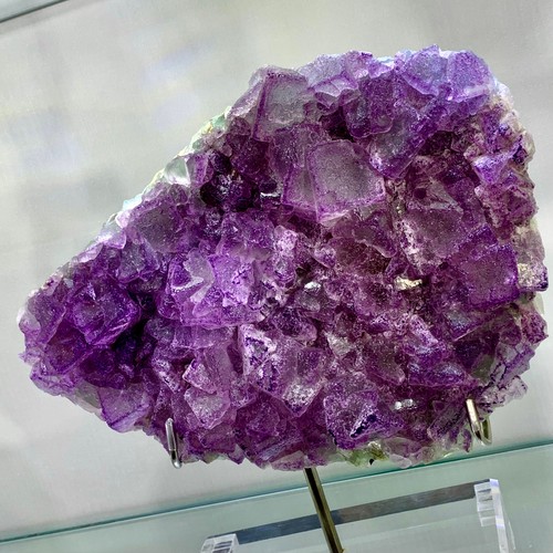 69lb rare transparent purple - transparent,
