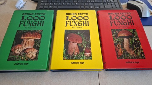 Bruno cetto 1000 - funghi, 3