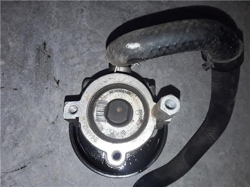 9638308580 pompa servosterzo - ,