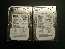 Lotto di 10 IBM 73 GB 10 K RPM