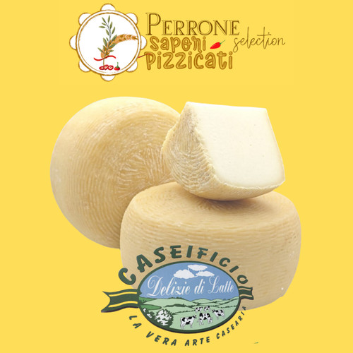 Pecorino fresco con latte - pecorino,