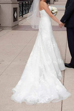 Spring 2014 Pronovias Wedding
