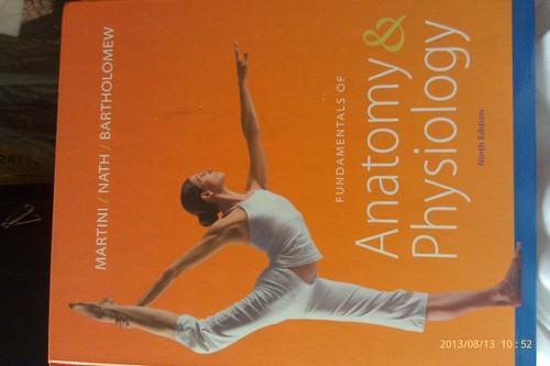 Fundamentals anatomy - anatomy, &