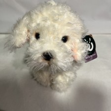 Living Nature Labradoodle