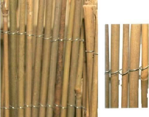 Arella tenda bambu canna - arella,