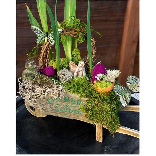 Collezione muschio naturale - collezione,