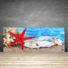 Paraschizzi da Cucina 125x50 Vetro Temperato Conchiglie di stelle marine Natura