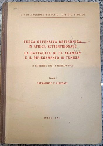 Terza offensiva britannica - offensiva, in